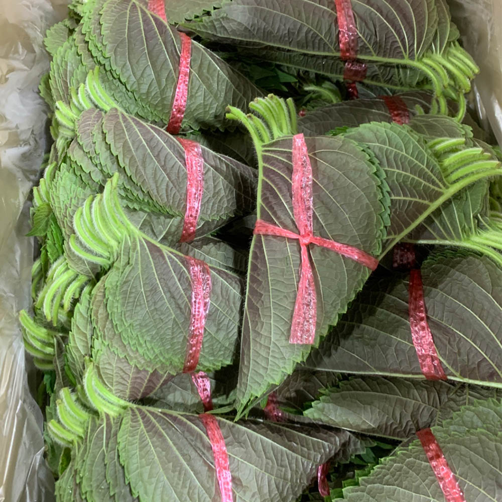 국내산 깻잎 3묶음 100g 내외 3-30묶음 대표이미지 섬네일