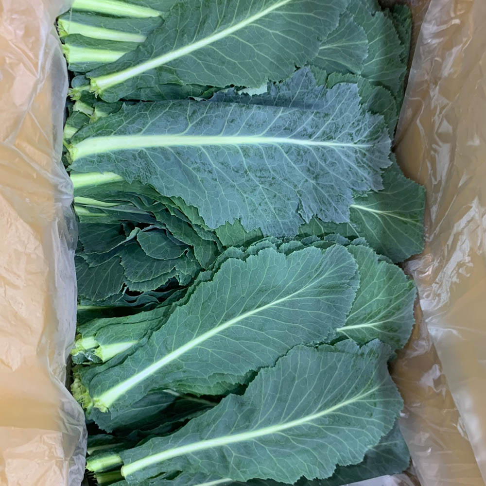 국내산 주스용 쌈채소용 케일 100g-1kg