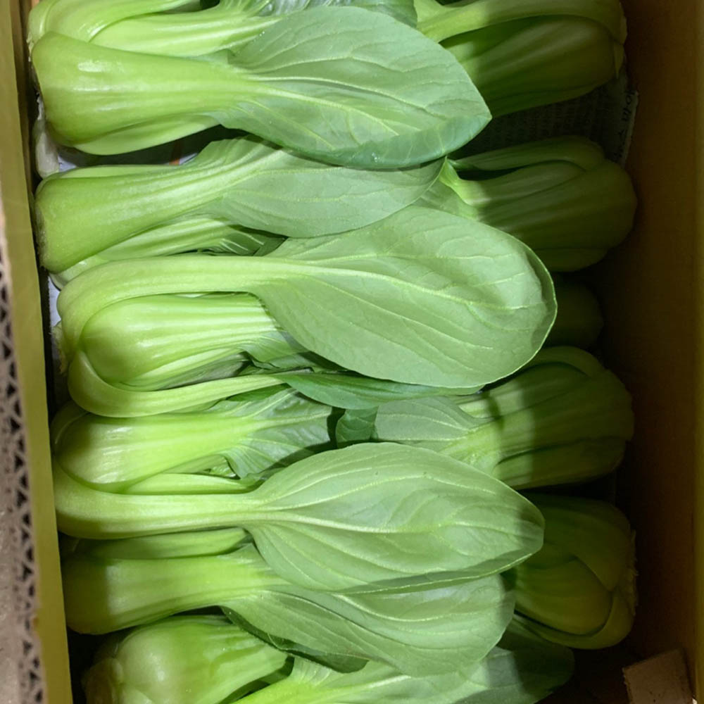 국내산 쌈채소 청경채 2-3알 300g 내외 300g-3kg
