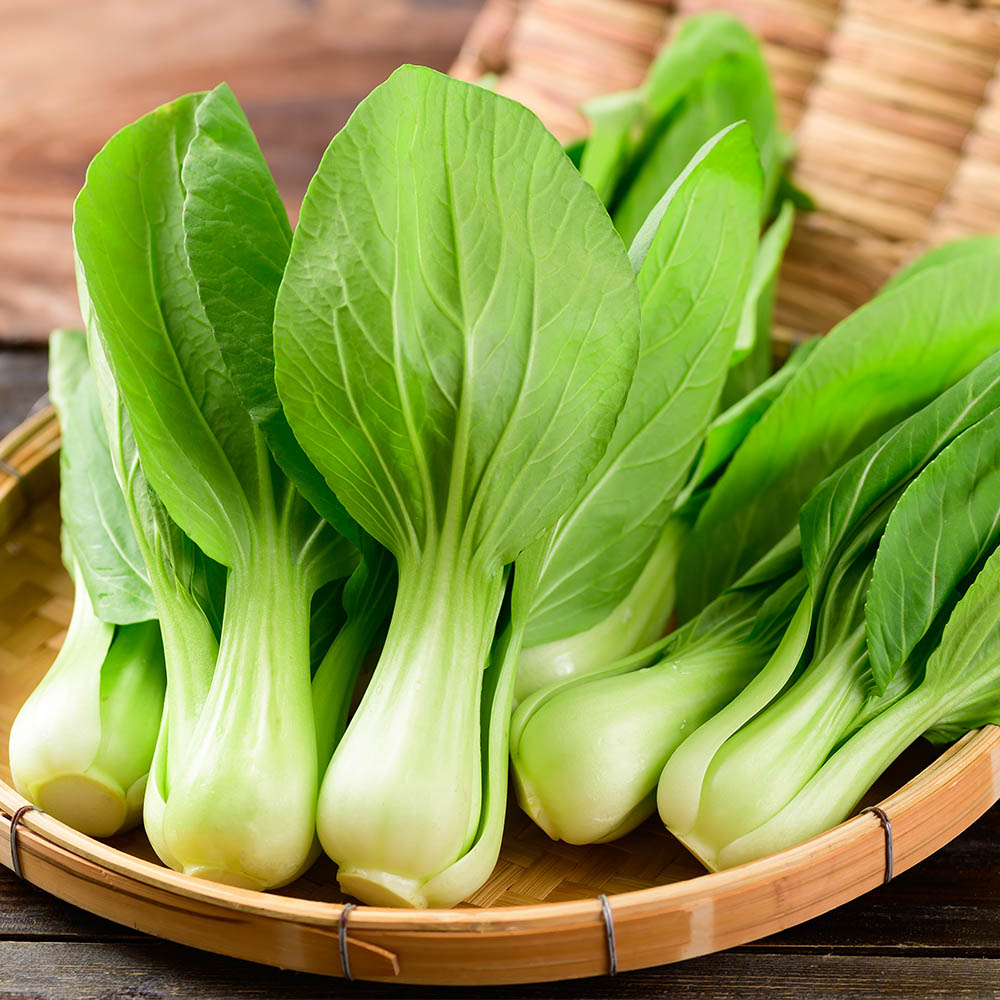 국내산 쌈채소 청경채 2-3알 300g 내외 300g-3kg 대표이미지 섬네일