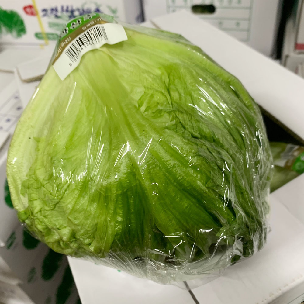 국내산 양상추 1개 400g 내외 1-10개