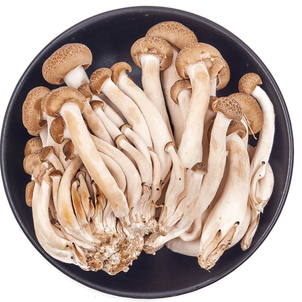 국내산 갈색송이 만가닥버섯 1봉 300g 1-10봉