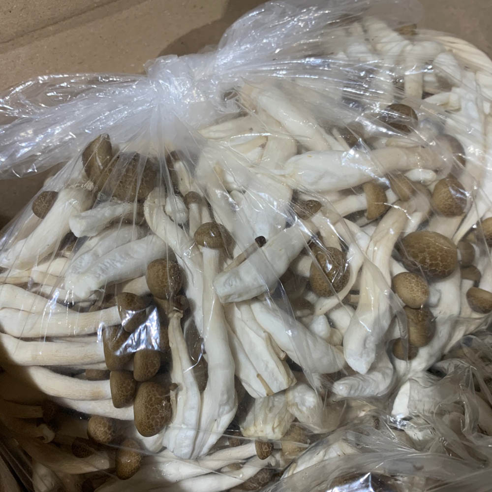 국내산 갈색송이 만가닥버섯 1봉 300g 1-10봉