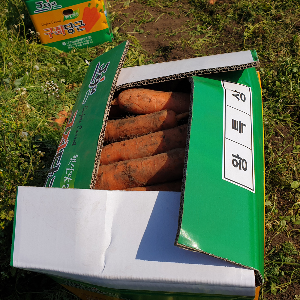 아삭하고 싱싱한 김해 햇 흙당근 3kg 5kg 10kg