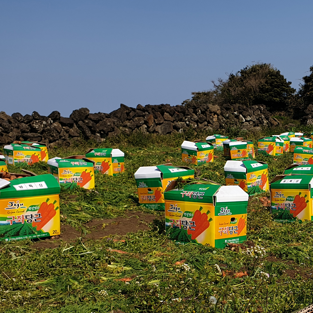아삭하고 싱싱한 김해 햇 흙당근 3kg 5kg 10kg