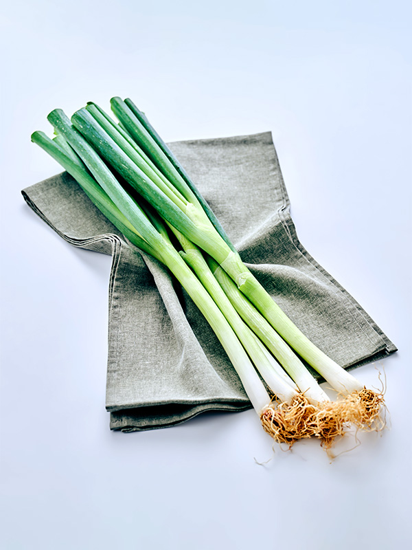 [신규]대파(500g)/무농약
