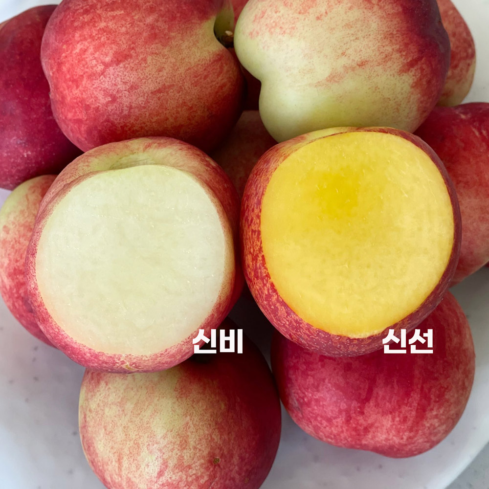 [6/13순차출고] 경산 타이백 신비 신선 복숭아 1kg 2kg