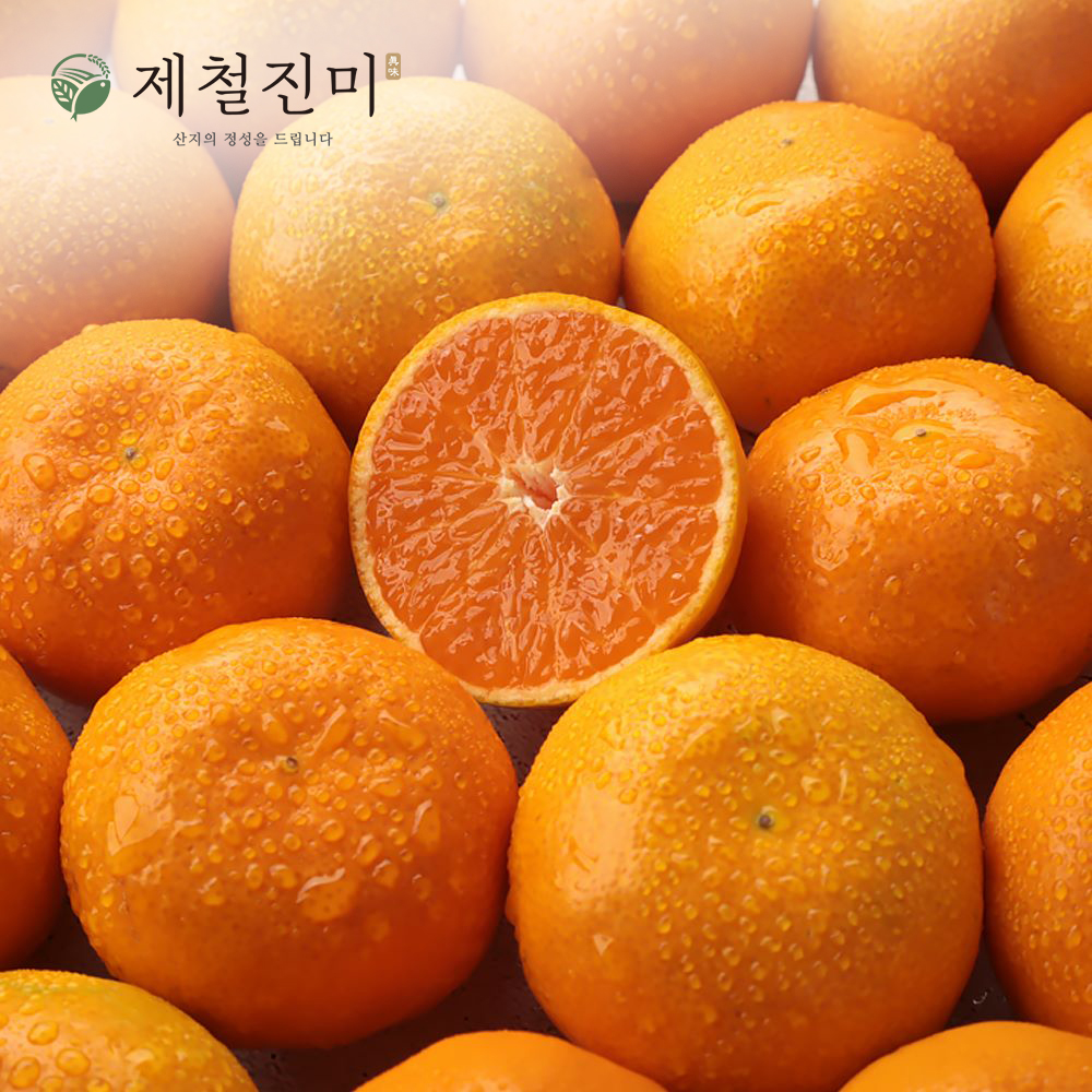 제철진미 제주 햇 하우스감귤 2kg 3kg 5kg 산지직송 대표이미지 섬네일