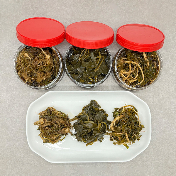 수제 봄나물 장아찌 (냉이,두릅, 방풍)