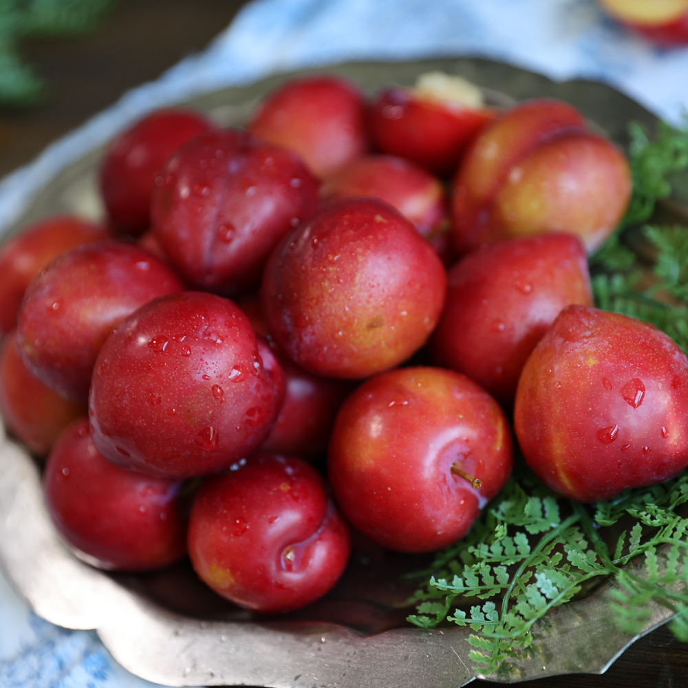 새콤달콤한 신선한 제철 자두 1kg 3kg