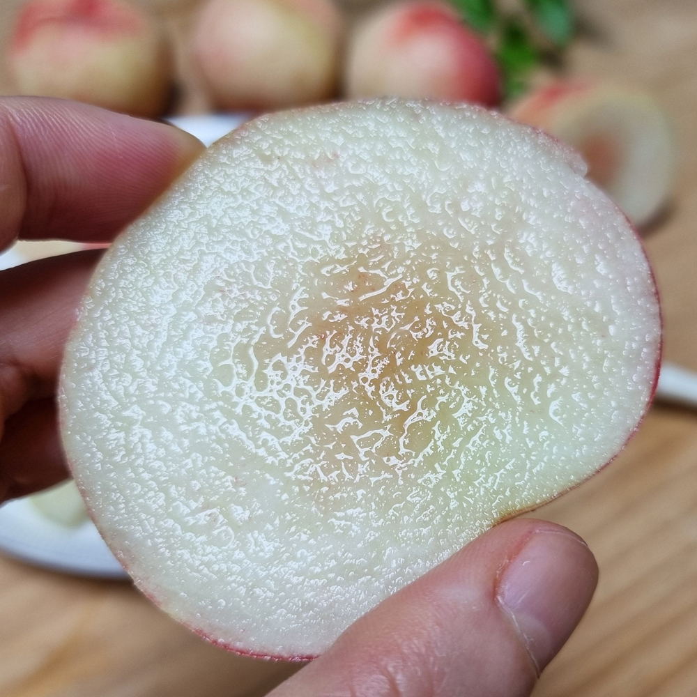 햇 수확 반납작이 대극천 복숭아 1kg 2kg 4kg