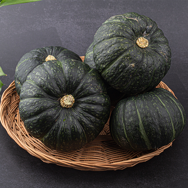 [산지직송]미니 밤호박 달고 달디 단 밤호박 1kg 2kg 4.5kg