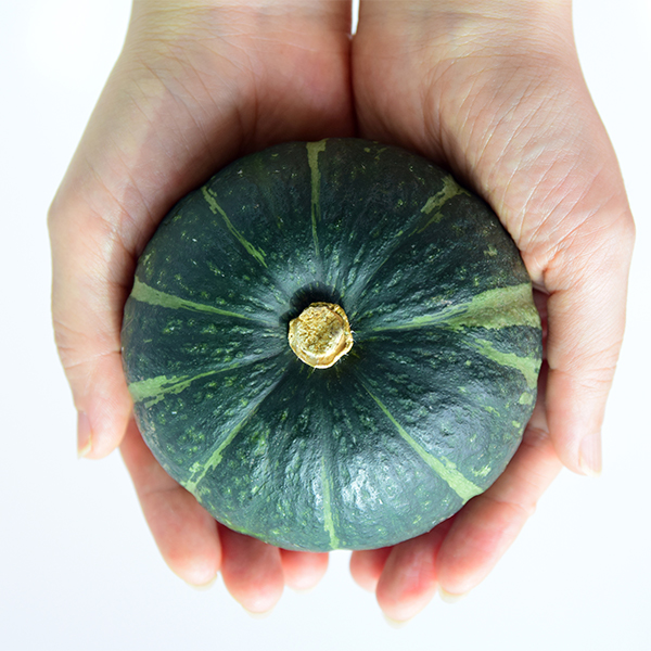 [산지직송]미니 밤호박 달고 달디 단 밤호박 1kg 2kg 4.5kg