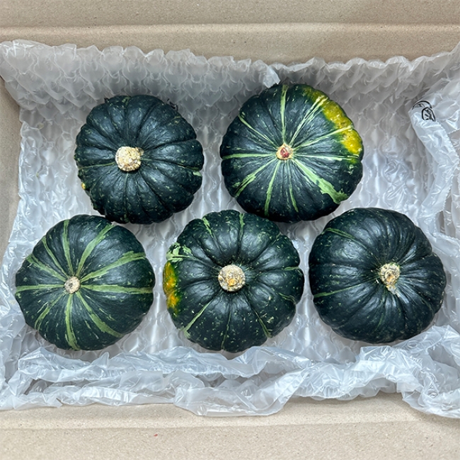 [산지직송]미니 밤호박 달고 달디 단 밤호박 1kg 2kg 4.5kg