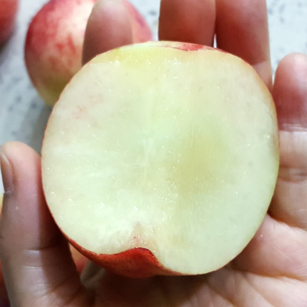 달콤한 과즙이 풍부한 맛있는 신비복숭아 1kg 2kg 4kg