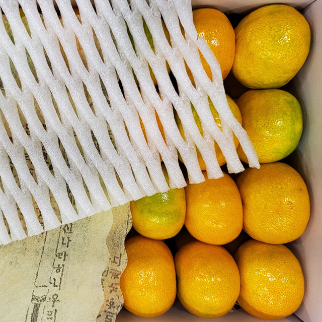 제주도 귤 하우스 감귤 서귀포 조생귤 소과 로얄과 선물용 가정용 2kg 3kg 5kg