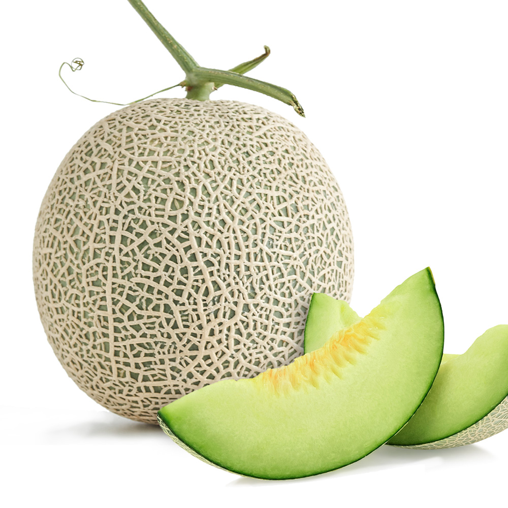 [농협공판장] 새벽경매 머스크 메론(특품) 4kg, 8kg 고당고 농산물 도매시장