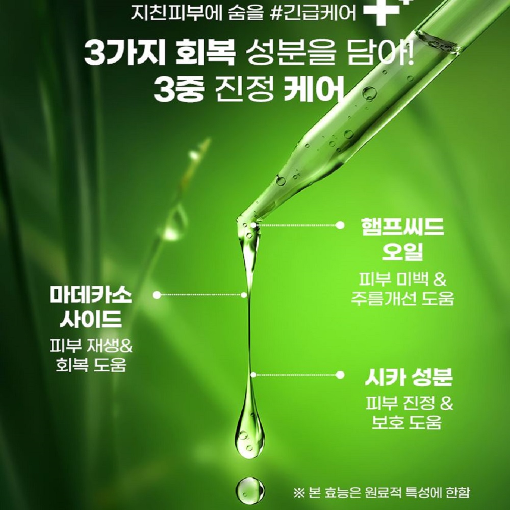 숲작 햄프시카 앰플 마스크팩 25g 1세트 10개입