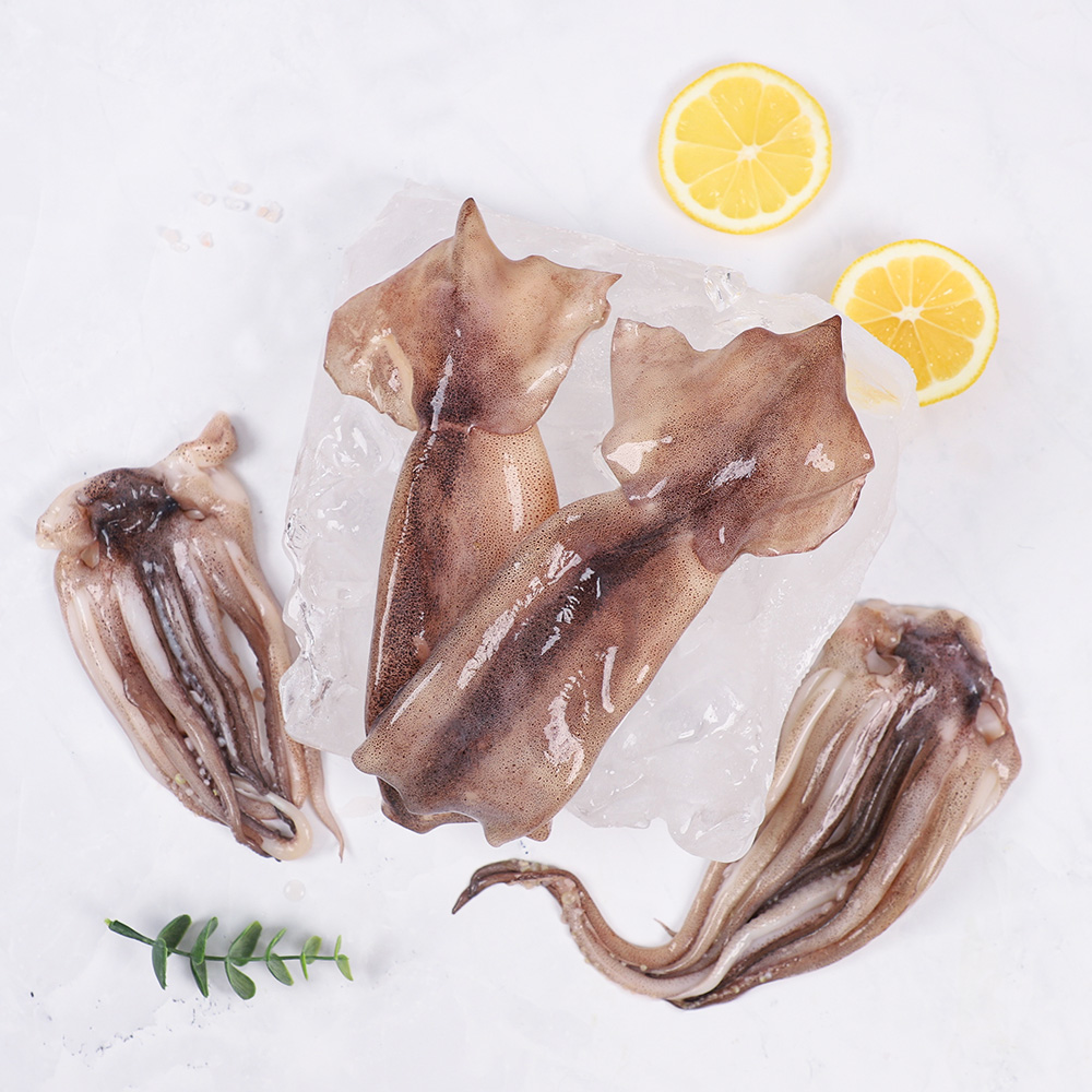 [강영수산]자연산손질오징어통오징어2미(270g)