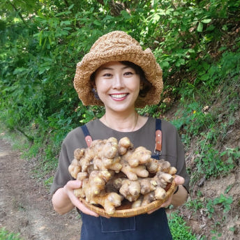 안동생강진액 생강청 생강차 620g