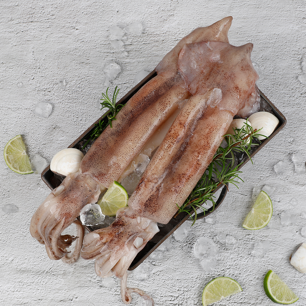 [재호식품] 손질오징어 500g, 2마리 1팩