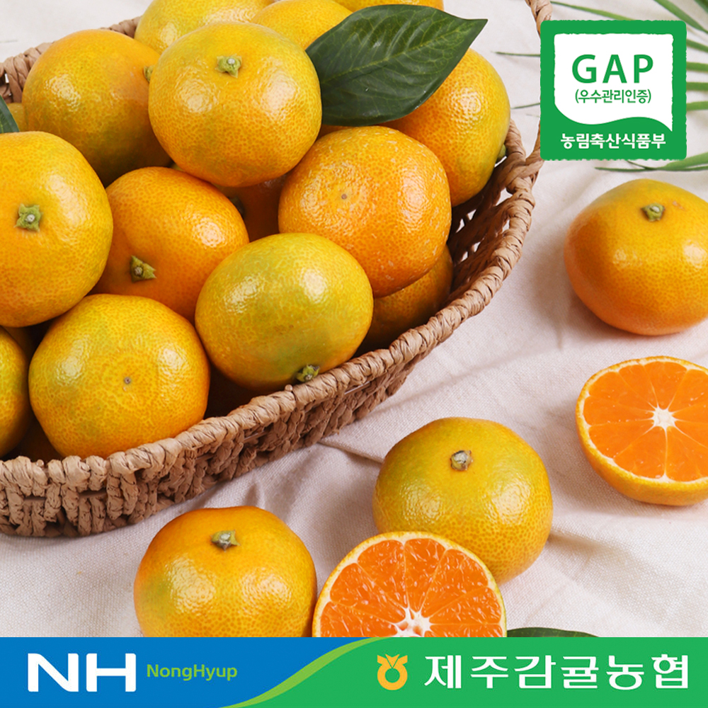 [제주감귤농협] 당도선별 황금알 하우스 감귤 1.5 / 2.5kg 대표이미지 섬네일