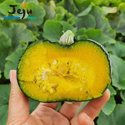 [무료배송] 2025년 수확 제주 산지직송 미니밤호박 1kg~5kg 대표이미지 섬네일