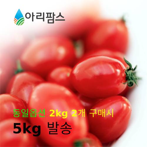 탱글탱글 대추방울토마토 2kg / 5kg