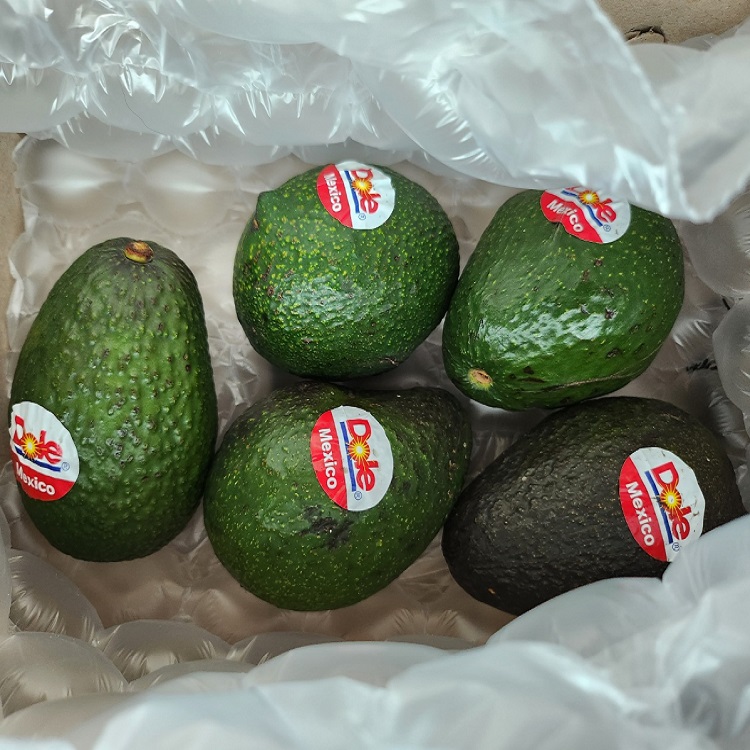 신선 직수입 생아보카도 중대과 아보카도 생과