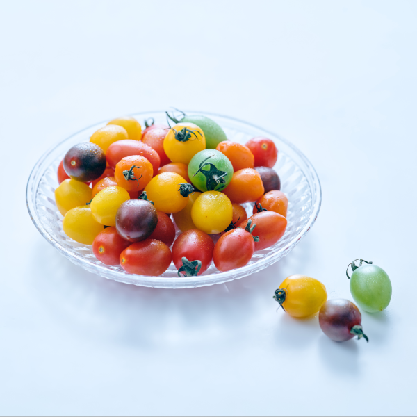 친환경 컬러방울토마토 (500g)