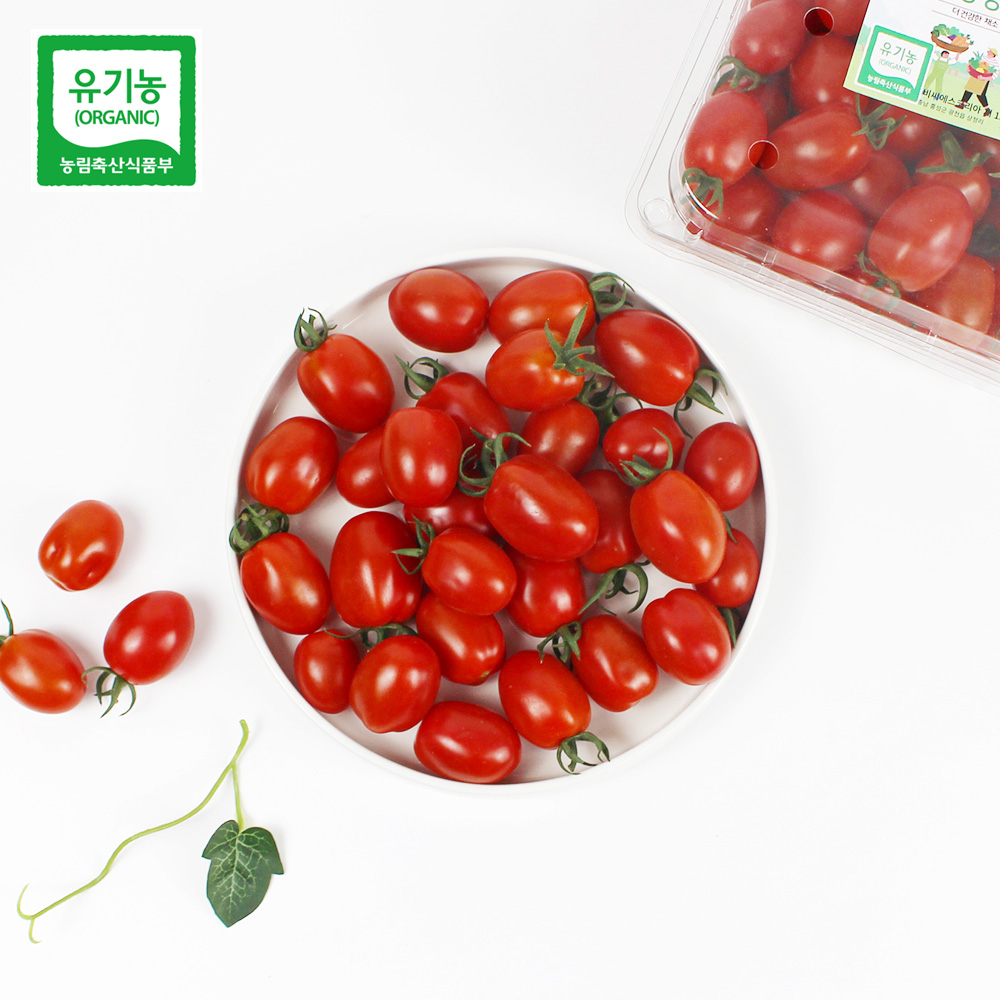 홍성 엄마농부의 유기농 대추방울토마토 1kg 당일수확 방울토마토 토마토 대표이미지 섬네일