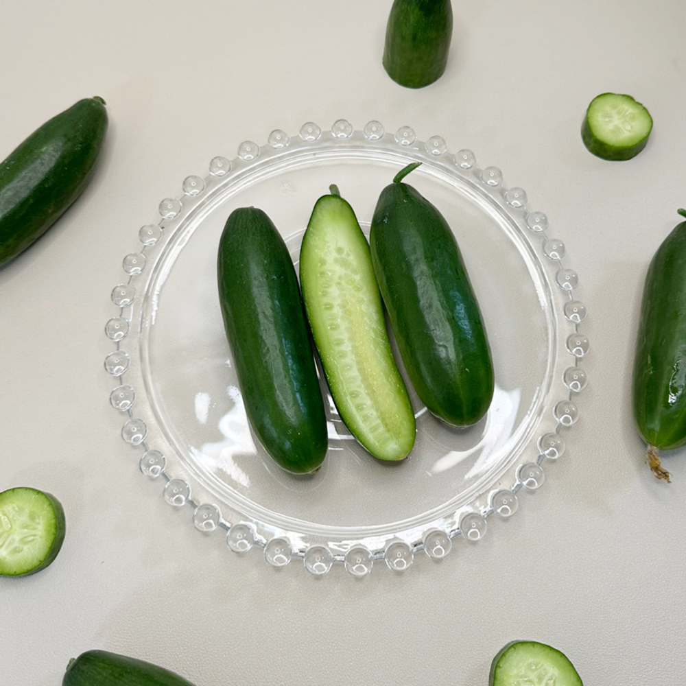 [한입오이] 대세 미니 오이 500g 1kg 2kg 아삭한 오이