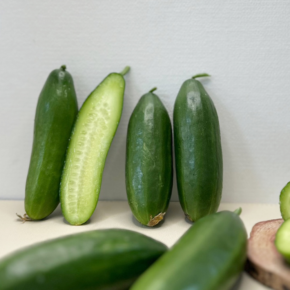 [한입오이] 대세 미니 오이 500g 1kg 2kg 아삭한 오이