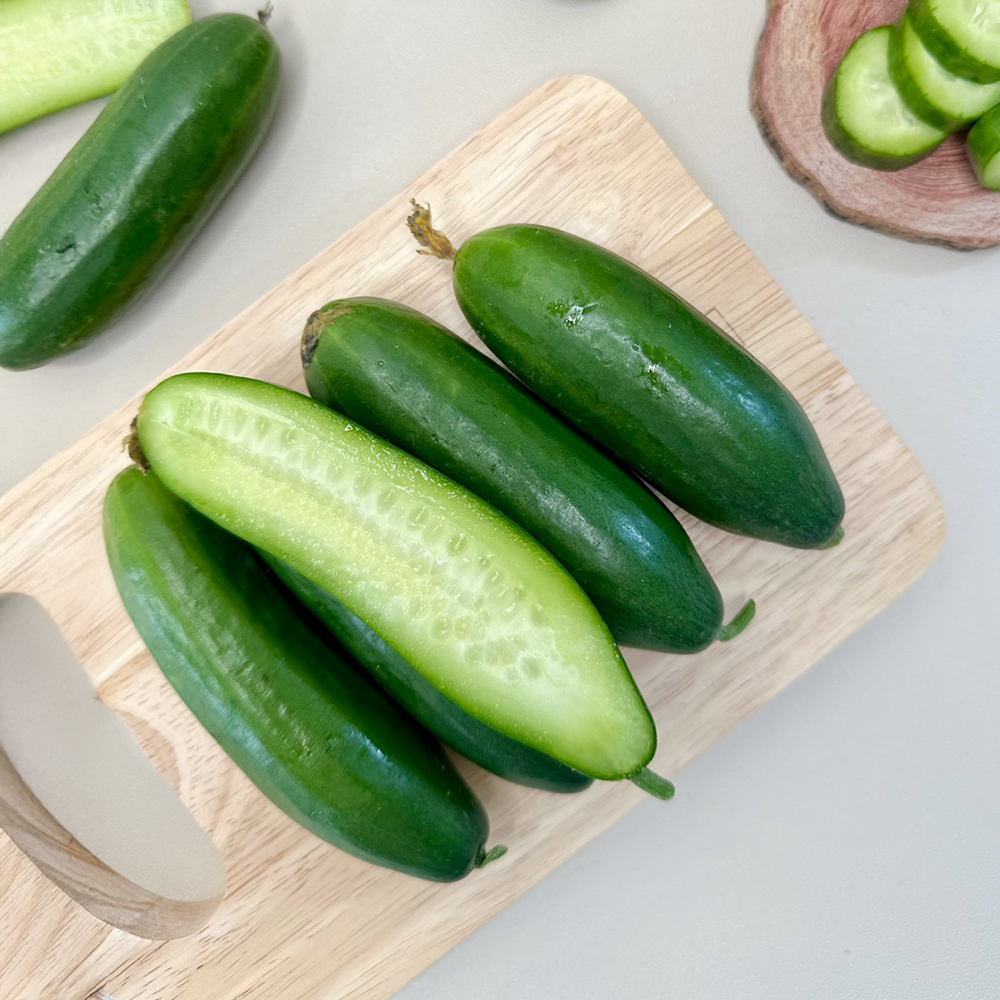 [한입오이] 대세 미니 오이 500g 1kg 2kg 아삭한 오이