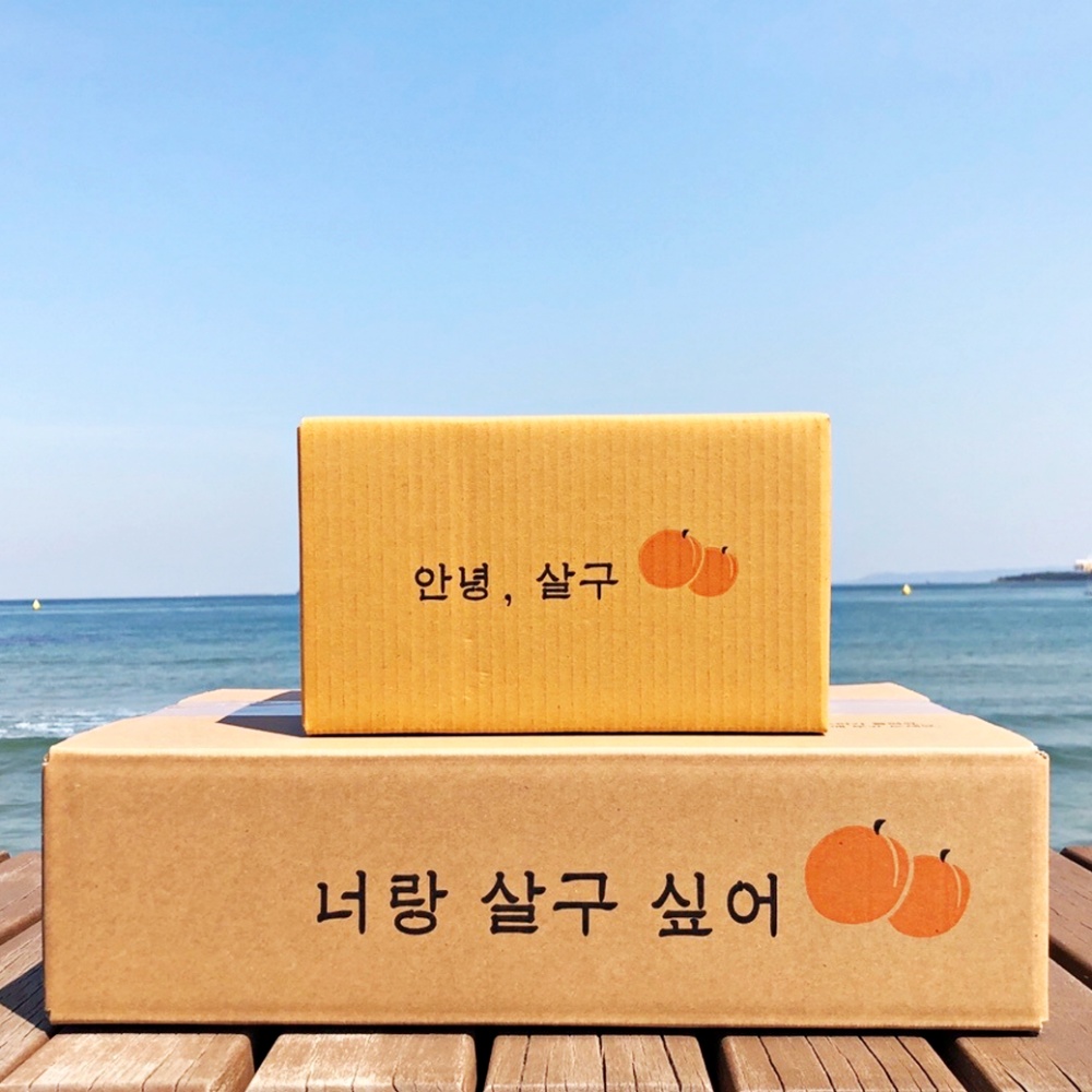 [식식한상] 경북 영천 만금살구 2kg 중/상/특