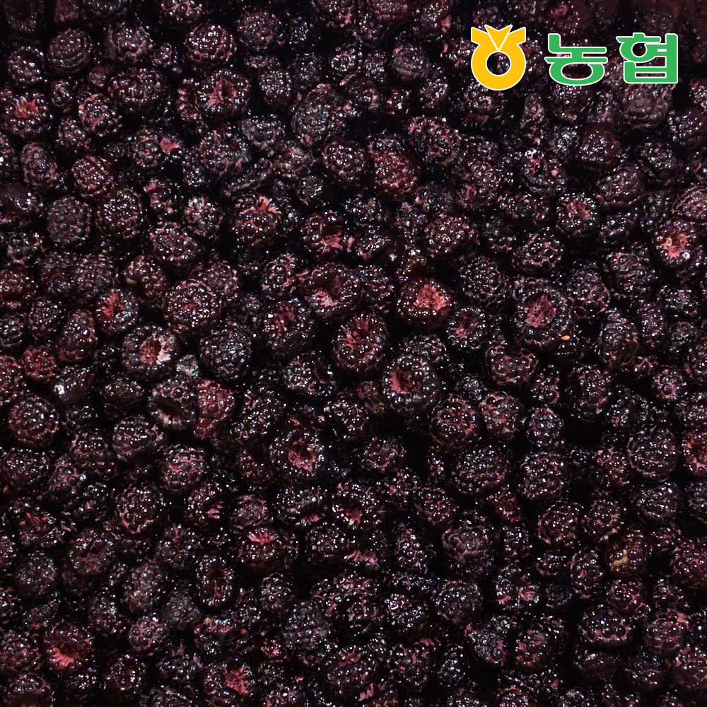 [농협] 순창 토종 복분자 생과 특상품 10kg (급냉)