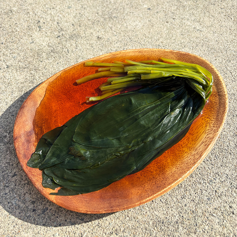 울릉도 와사비맛 명이나물 1kg