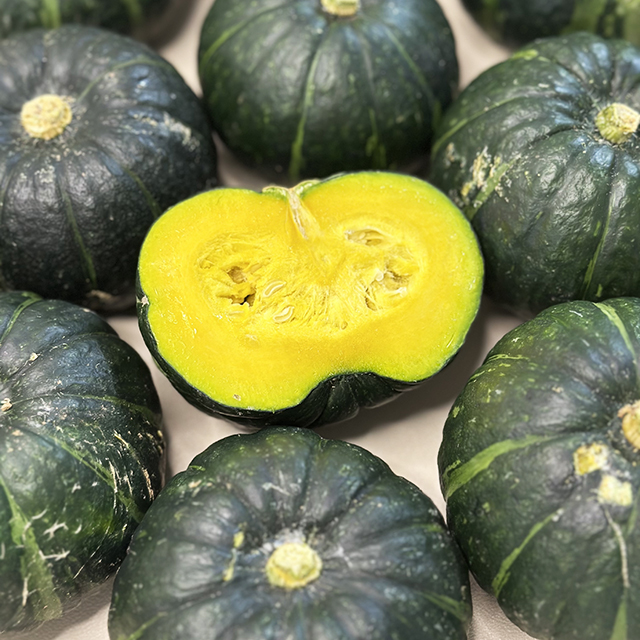 해남 보우짱 미니 단호박 밤호박 밤단호박 혼합과 2kg 4kg