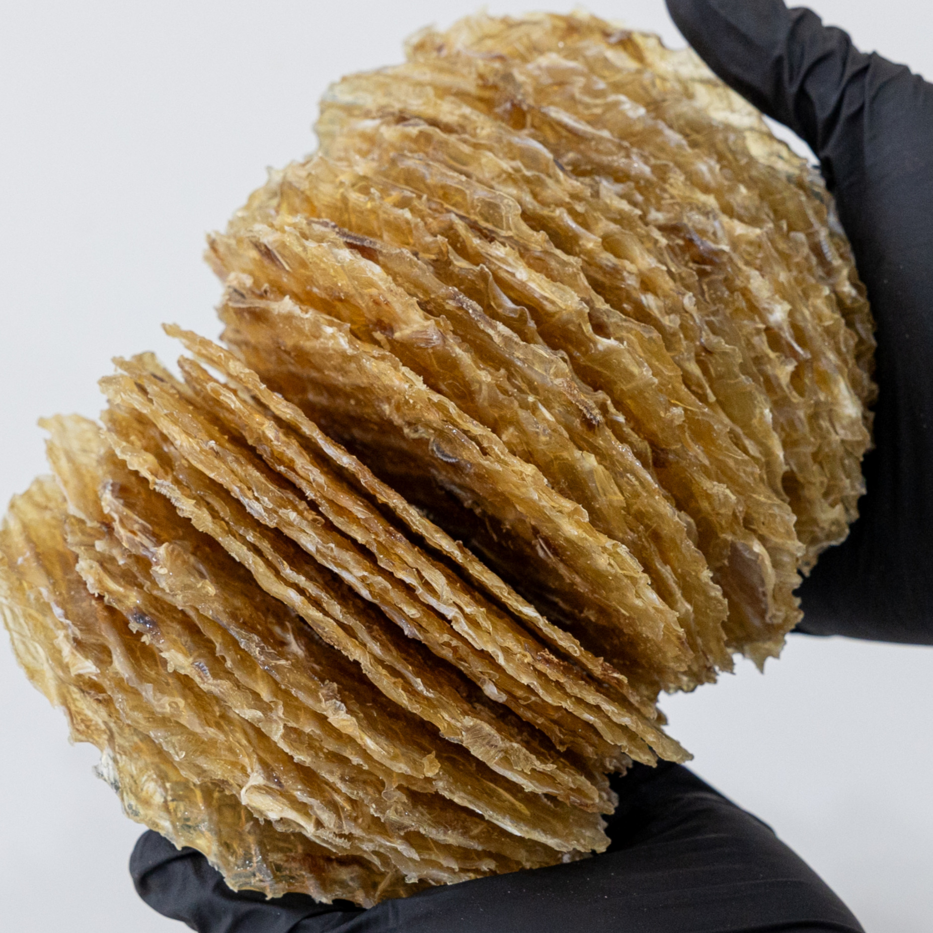 프리미엄 참쥐포(대) 20장 400g~430g