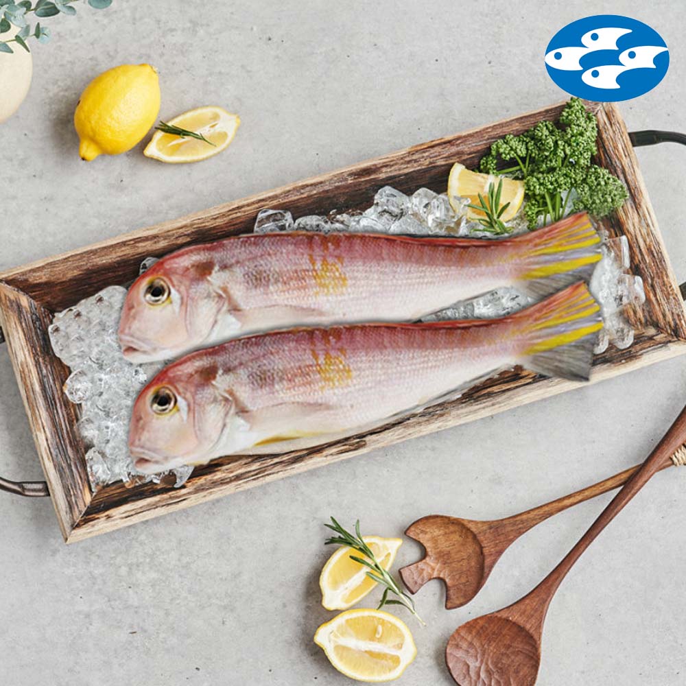 올레마켓] 제주 수협 수매 제주산 통옥돔 5미 140g/160g/200g 대표이미지 섬네일