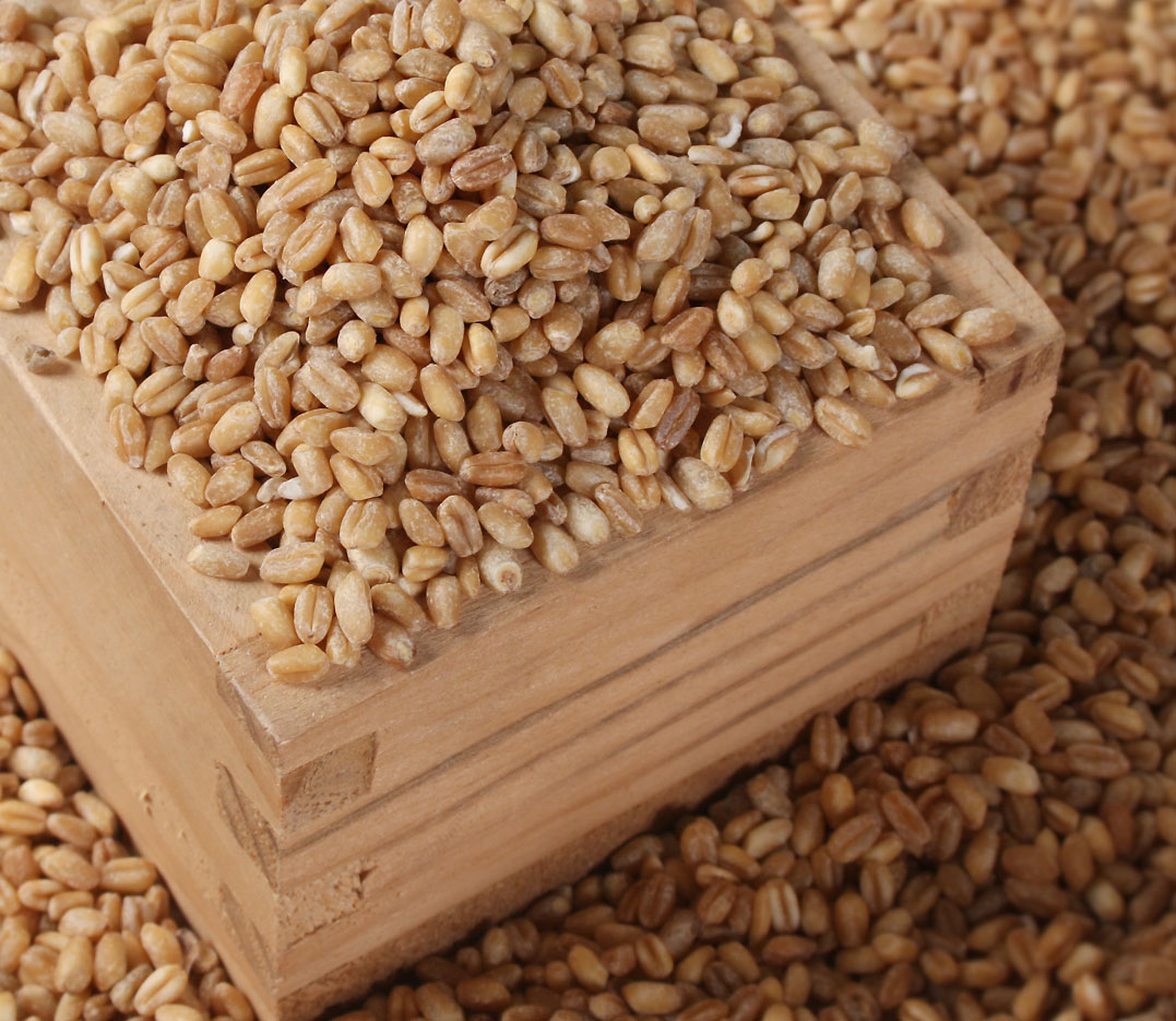 [디자인농부]통밀쌀 1kg