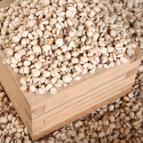 [디자인농부]율무(500g, 1kg)