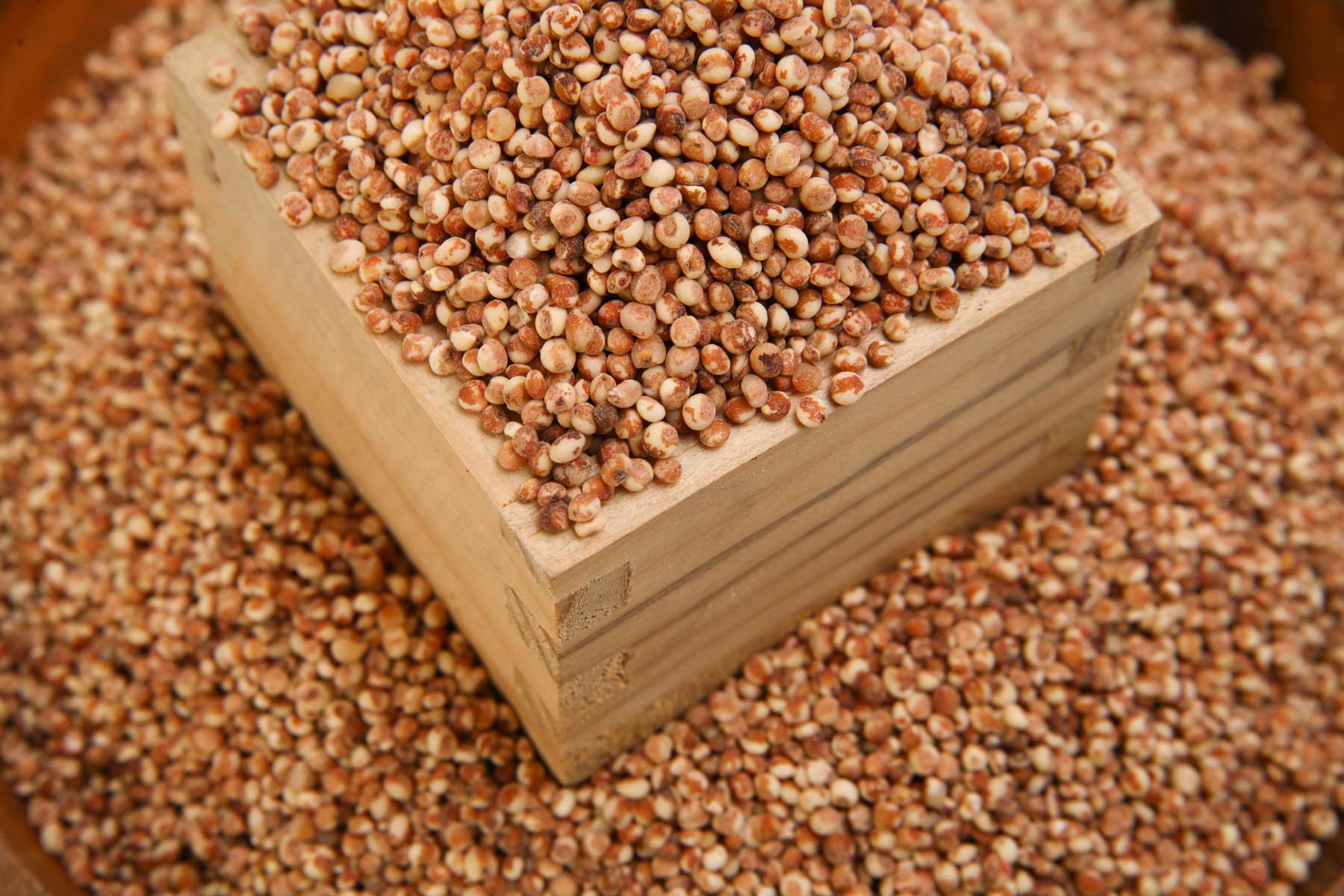 [디자인농부]찰수수(500g, 1kg)