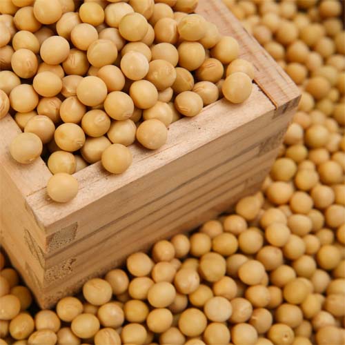 [디자인농부]백태콩(500g, 1kg)