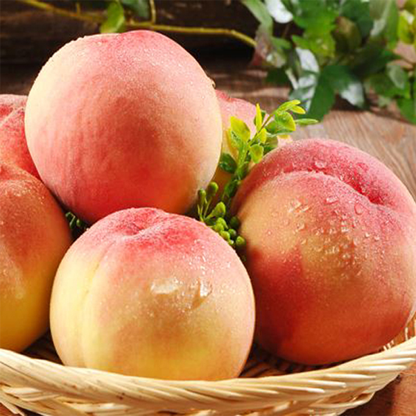 [첫출하_고흥_햇 복숭아] 고흥 명품 복숭아_황도[1.25kg-2.5kg]