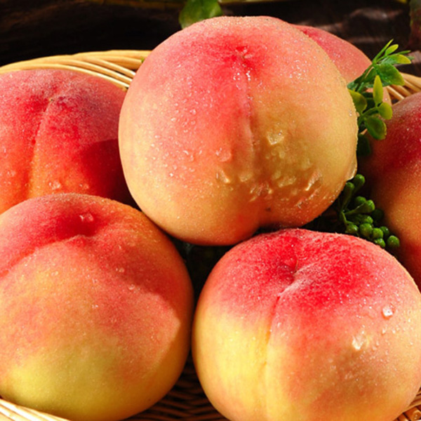 [첫출하_고흥_햇 복숭아] 고흥 명품 복숭아_황도[1.25kg-2.5kg]