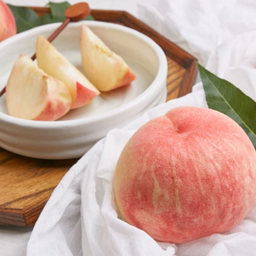 [첫출하_고흥_햇 복숭아] 고흥 명품 복숭아_백도[1.25kg-2.5kg]