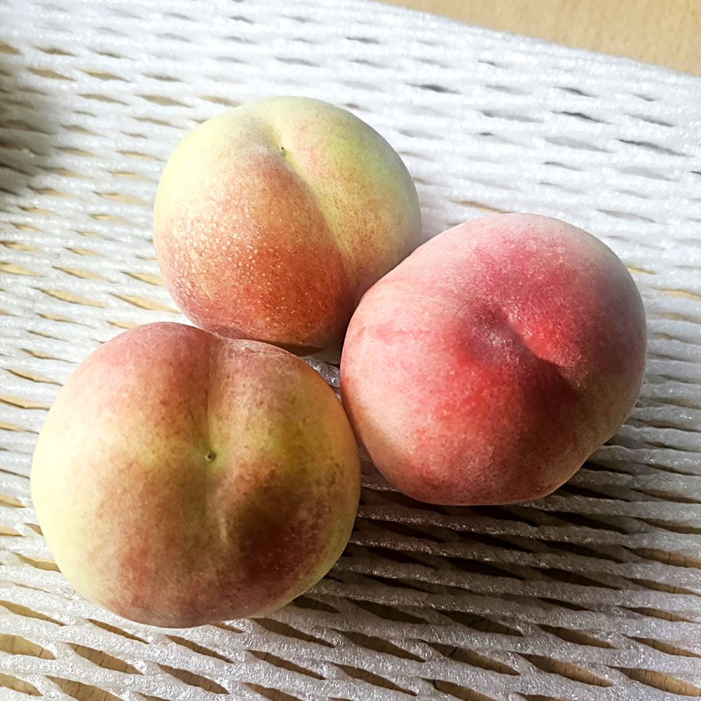 ★당일 수확/한정 판매★ [유일한농부] 꿀맛보장 대극천 복숭아 2.5kg (15brix이상)