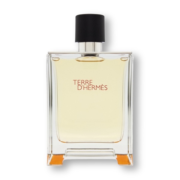 [에르메스] 떼르 데르메스 EDT 100ML