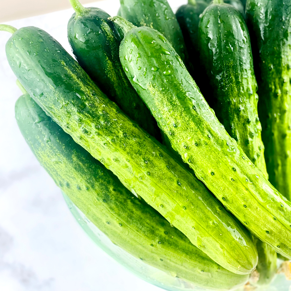 당일수확 백다다기 오이 5kg 10kg 산지직송 국내산 아삭하고 신선한 여름 제철 채소 야채